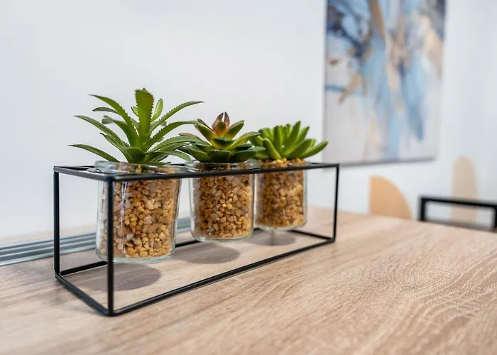 Murihaus Mit Balkon شقة أوي